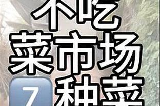 轻松高效！里夫斯13投7中得到19分5板5助3断